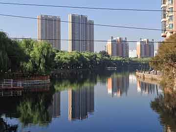 2025香港 澳门 一肖一码一一特资料大全,详细解答、解释与落实